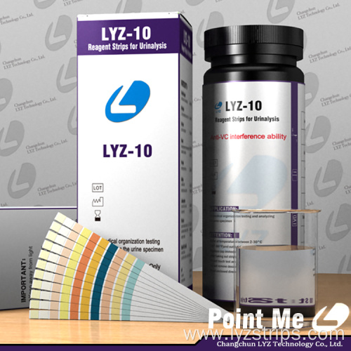 Urine Test Strips 10 Parameters Urinalysis Strips